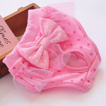 f22997e2bdd98d56d0dd376c74cd32e3